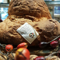 Pane-1