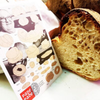 Pane-3