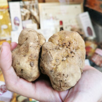 Tartufi-3
